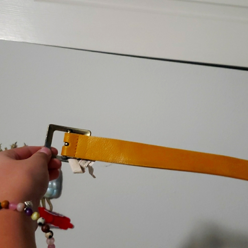 Belt